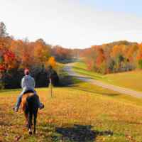Fall foliage near milepost 418 on the Natchez Trace National Scenic Trail.