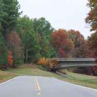 Fall foliage view of an overpass near milepost 410.
