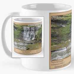 Jackson Falls Coffee Mugs