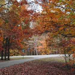 Fall foliage at the end of Old Trace Drive.