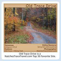 Old Trace Drive Stickers