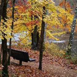 A few benches along the trail offer rest and solitude.