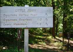 Dyestone Hollow Trail - Meriwether Lewis Death & Burial Site