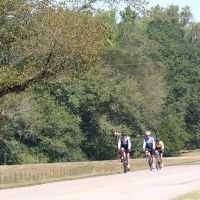Cyclists biking on the parkway near milepost 349.