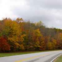 Fall foliage picture was taken a little bit north of Collinwood, TN near milepost 358.