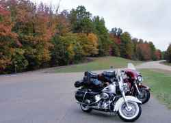 Fall foliage at the Freedom Hills parking area.