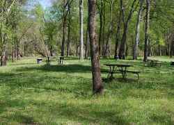 The picnic area is next to Bear Creek.