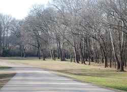 The access road to the picnic area and creek makes a rather large loop before rejoining the parkway. An excellent place to stretch your legs.