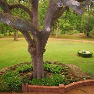 View of gardens from the upper porch. Natchez Bed and Breakfast 