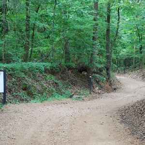 Historic, sunken driveway that takes you from the Natchez Trace to Brandon Hall.