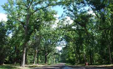 The parkway at Bullen Creek.