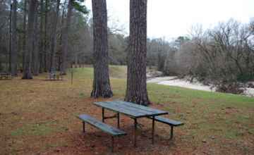 View of Coles Creek from one of the picnic tables.