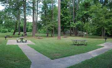 Some of the picnic tables at Coles Creek are handicap accessible.
