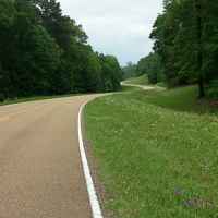 Parkway a little south of Port Gibson.
