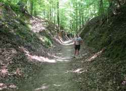 Cyclist taking a break to check out the Sunken Trace.