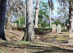 Amid giant moss covered oaks, lies the Grand Gulf Cemetery.