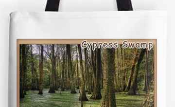 Cypress Swamp Tote Bags
