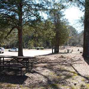 A large picnic area is located next to the information center's parking area.