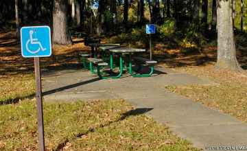 Picnic area at Holly Hill.
