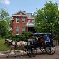 Horse & Carriage Ride passing in front of Maple Terrace Inn