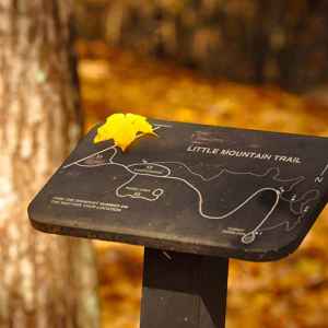 Little Mountain Trail sign