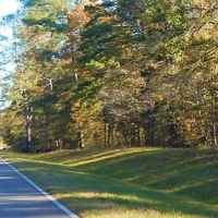 The parkway goes thru the Tombigbee National Forest.