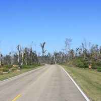 Tornado damage from the April 27, 2011 storm system. Milepost 204-214. 