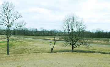 Enjoy views of Old Town Creek and the floodplain area.