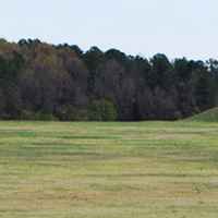 View of Pharr Mounds from the Natchez Trace Parkway.