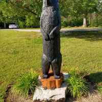 Bear Creek Saloon Guesthouse Mascot