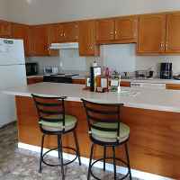 Kitchen and Bar Stools