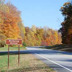 View from Birdsong Hollow parking area (milepost 438) looking north. 