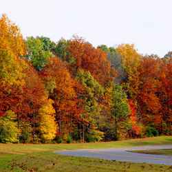 Photo taken of a curve near milepost 431.