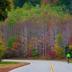 Fall foliage at milepost 431.