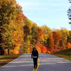 Fall foliage near milepost 435.