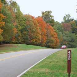 Fall foliage at milepost 439.