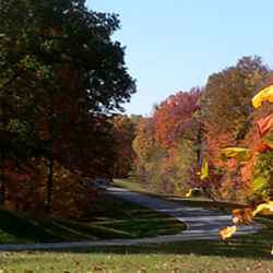 Fall foliage near milepost 441.
