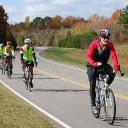 Group of cyclists on the last day of their south to north Natchez Trace bicycle ride.