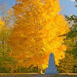 Fall foliage at the War of 1812 Memorial.