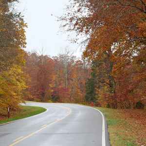 Waynesboro - Collinwood area: Fall foliage at milepost 363.