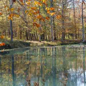 northwest Alabama: Fall foliage at the beaver pond.