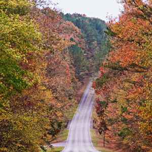 northwest Alabama: Fall foliage on the parkway at the Rock Spring entrance.
