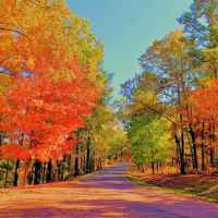 Fall Foliage at Jeff Busby