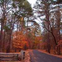 Fall Foliage at Jeff Busby