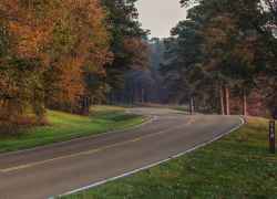 Fall foliage on the Natchez Trace Parkway looking north at milepost 113.