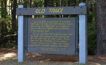 Old Trace site at milepost 221 in Mississippi.
