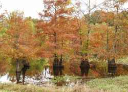 Mississippi - Tennessee-Tombigbee Waterway