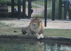 Florence, Alabama - University of North Alabama