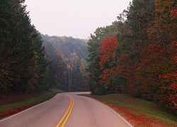 Mississippi - Photo taken on the Natchez Trace Parkway near milepost 289.