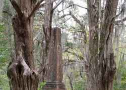 Mississippi - Rocky Springs Methodist Church Cemetery